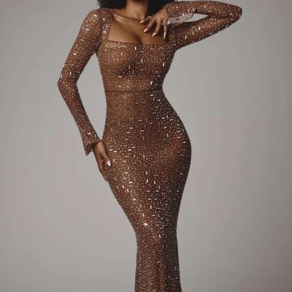 Sheer Embellished Long Sleeve Evening Gown
